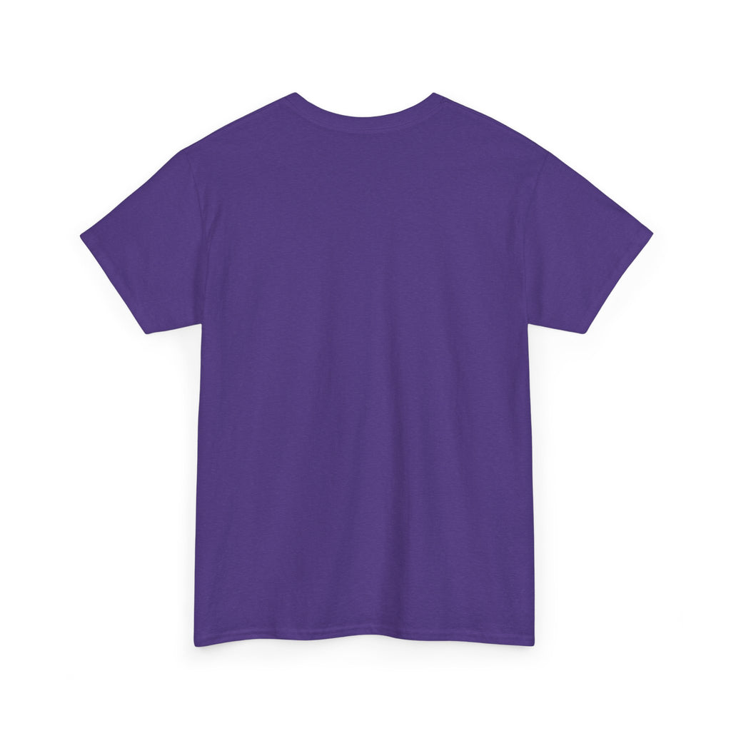 Cat T-Shirt — "Crazy Cat Lady Starter Pack" Cute Four Cats Graphic Tee