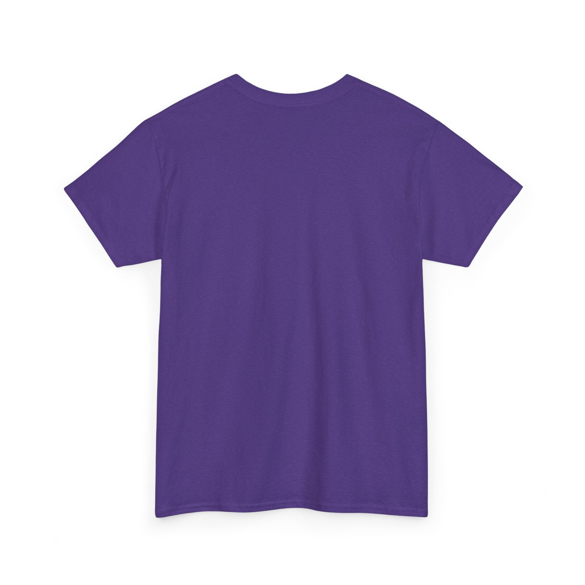 Cat T-Shirt — "Crazy Cat Lady Starter Pack" Cute Four Cats Graphic Tee