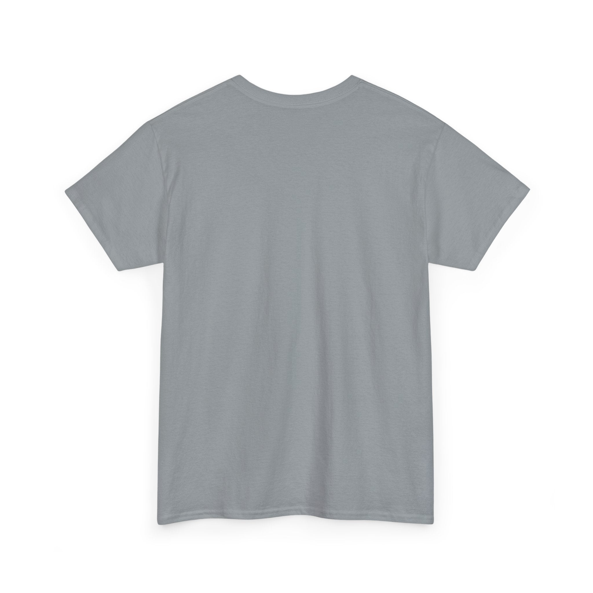 Cat T-Shirt — "Crazy Cat Lady Starter Pack" Cute Four Cats Graphic Tee