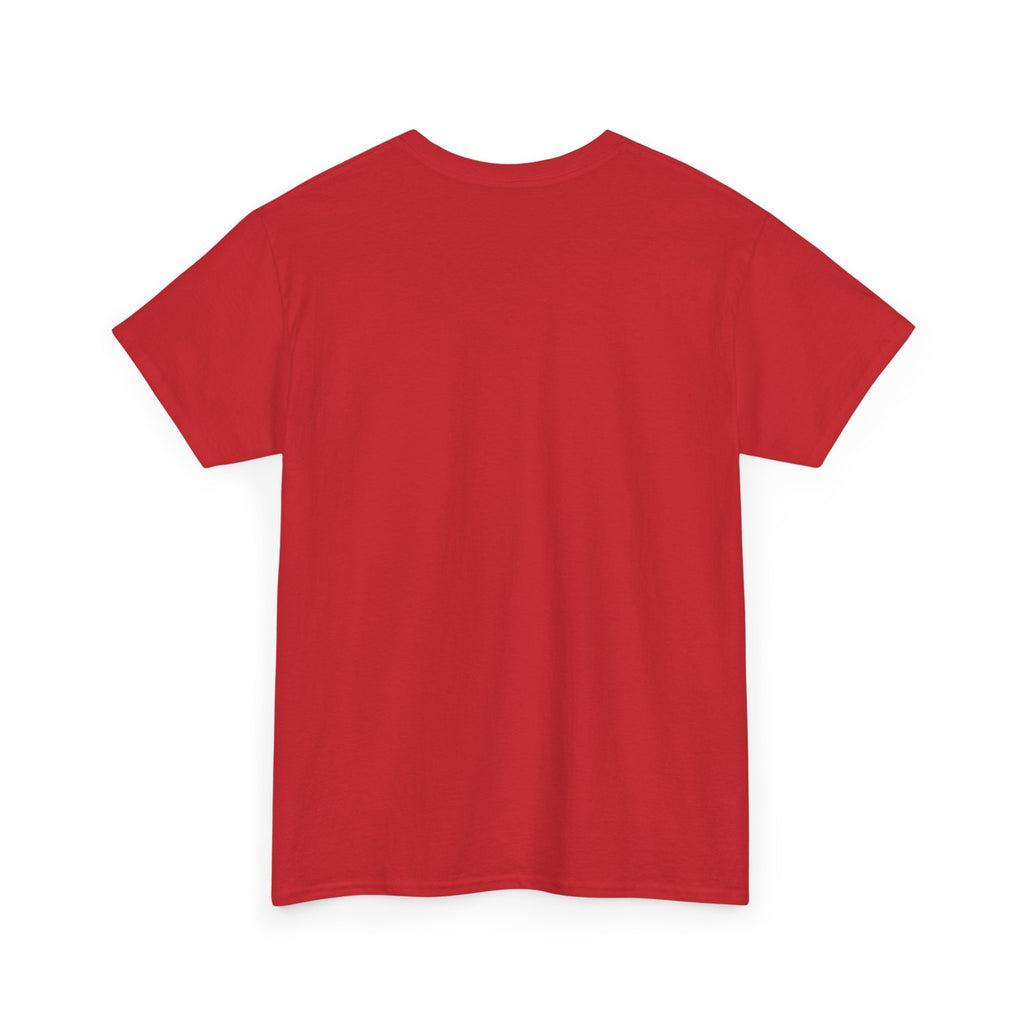 Cat T-Shirt — "Crazy Cat Lady Starter Pack" Cute Four Cats Graphic Tee