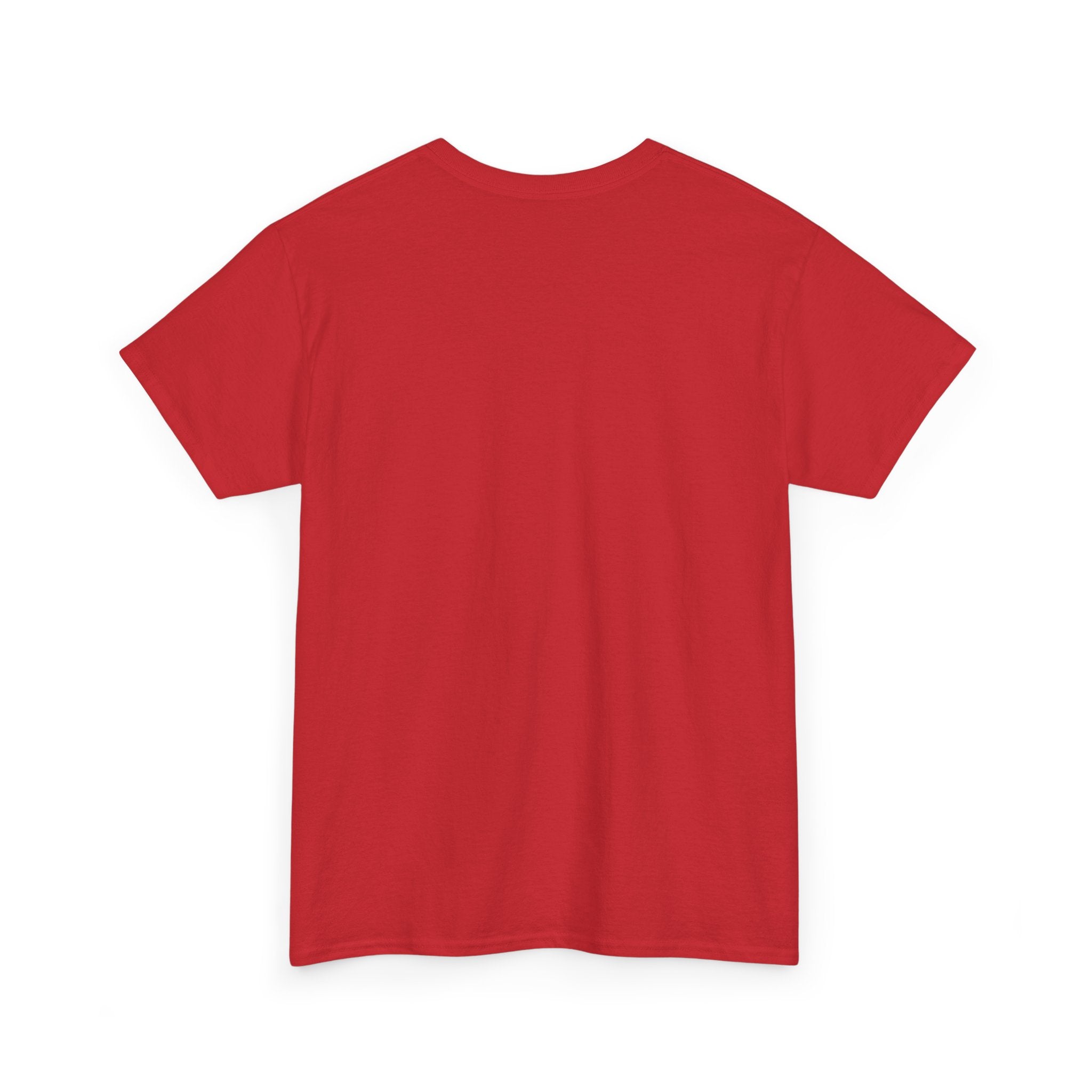 Cat T-Shirt — "Crazy Cat Lady Starter Pack" Cute Four Cats Graphic Tee