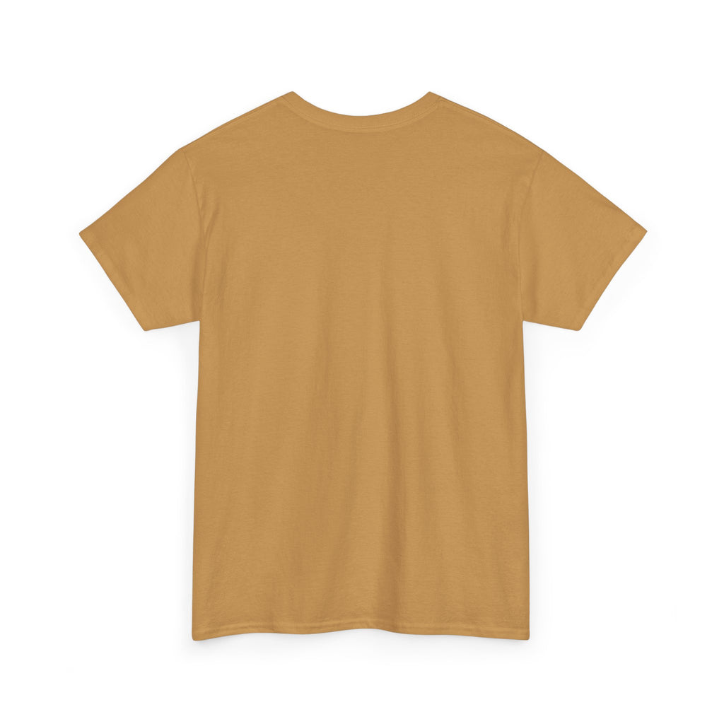 Cat T-Shirt — "Crazy Cat Lady Starter Pack" Cute Four Cats Graphic Tee
