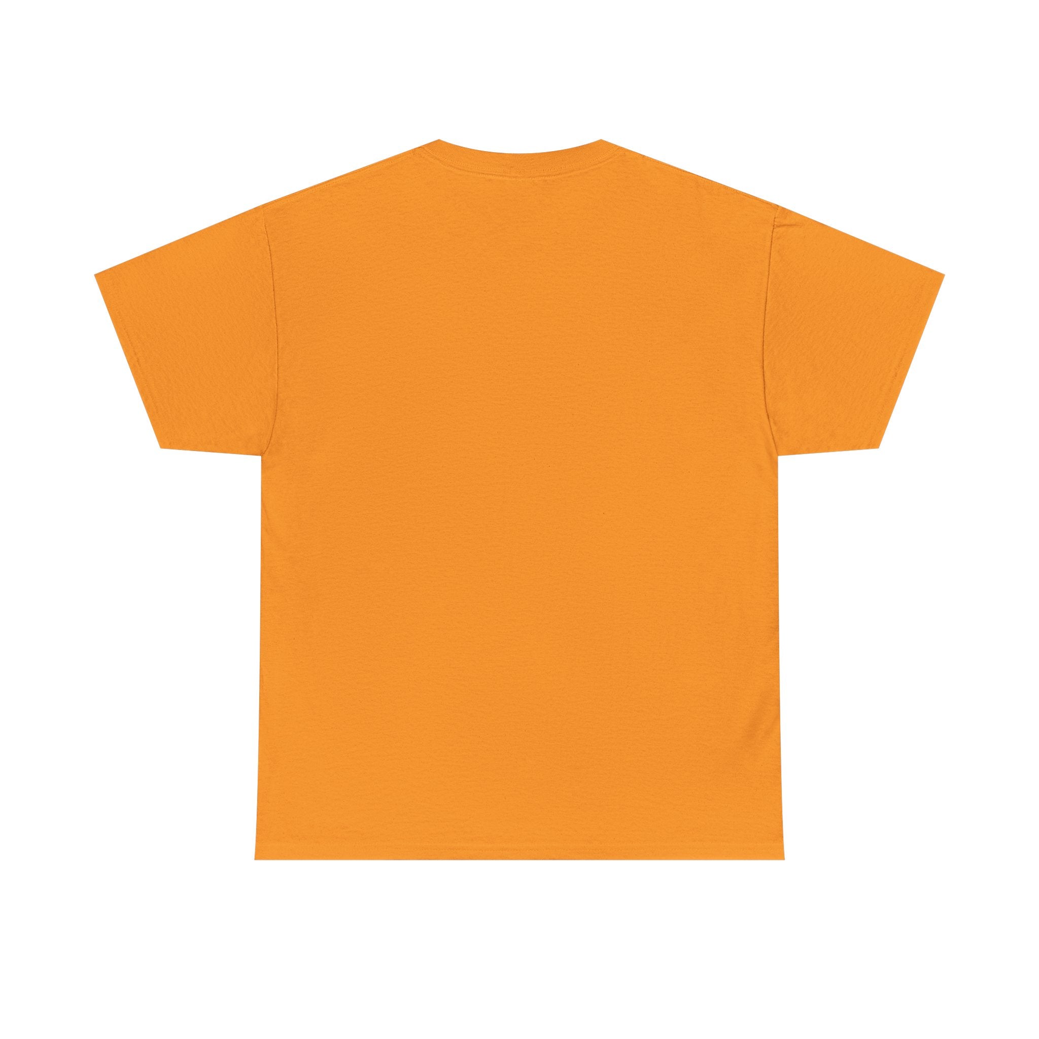 T-Shirt — Liver Transplant Warrior Ribbon Support Tee